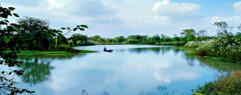 Picture of Xixi National Wetland Park